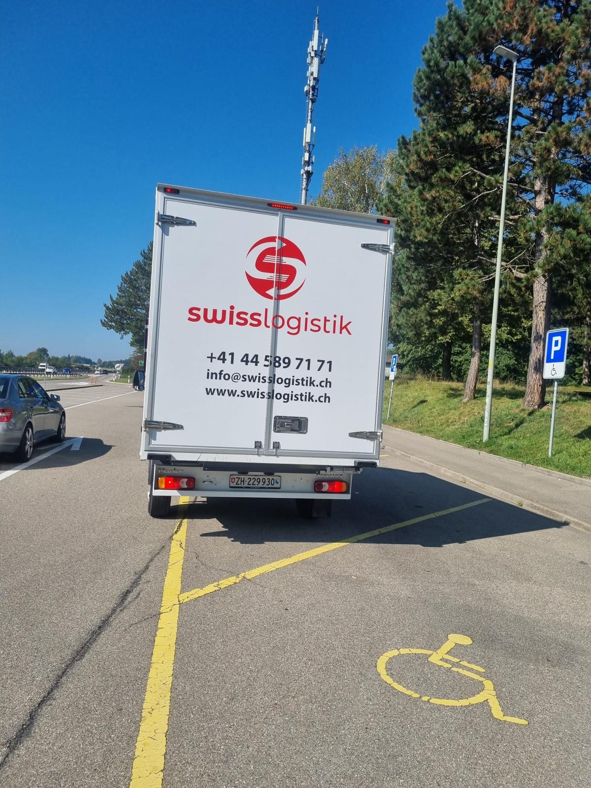 Umzug mit Haustieren