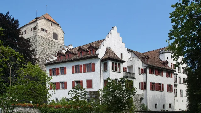 Umzug in Arbon – Bildmotiv: Schloss Arbon