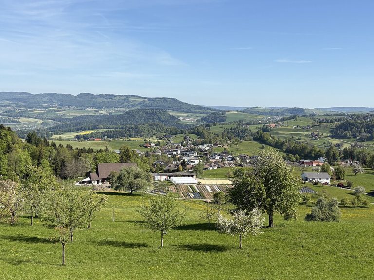 Allenwinden in Baar (Kanton Zug)