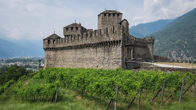 Umzug in Bellinzona – Bildmotiv: Castello di Montebello mit Rebbergen