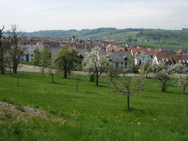Bonstetten in der Gemeinde Bonstetten (Kanton Zürich)