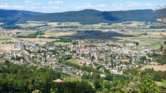 Umzug in Courrendlin – Bildmotiv: Blick vom Wald auf Courrendlin
