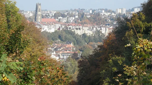 Umzug in Freiburg – Bildmotiv: Kathedrale und Altstadt von Freiburg, gesehen vom Pérolles-Plateau