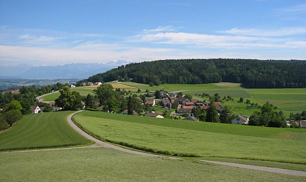 Forch in Küsnacht (Kanton Zürich)