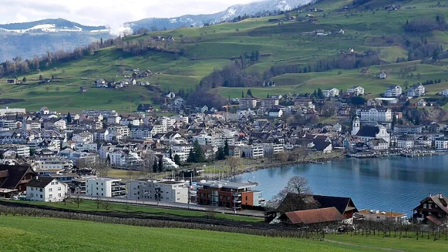 Umzug in Küssnacht – Bildmotiv: Küssnacht am Rigi am See