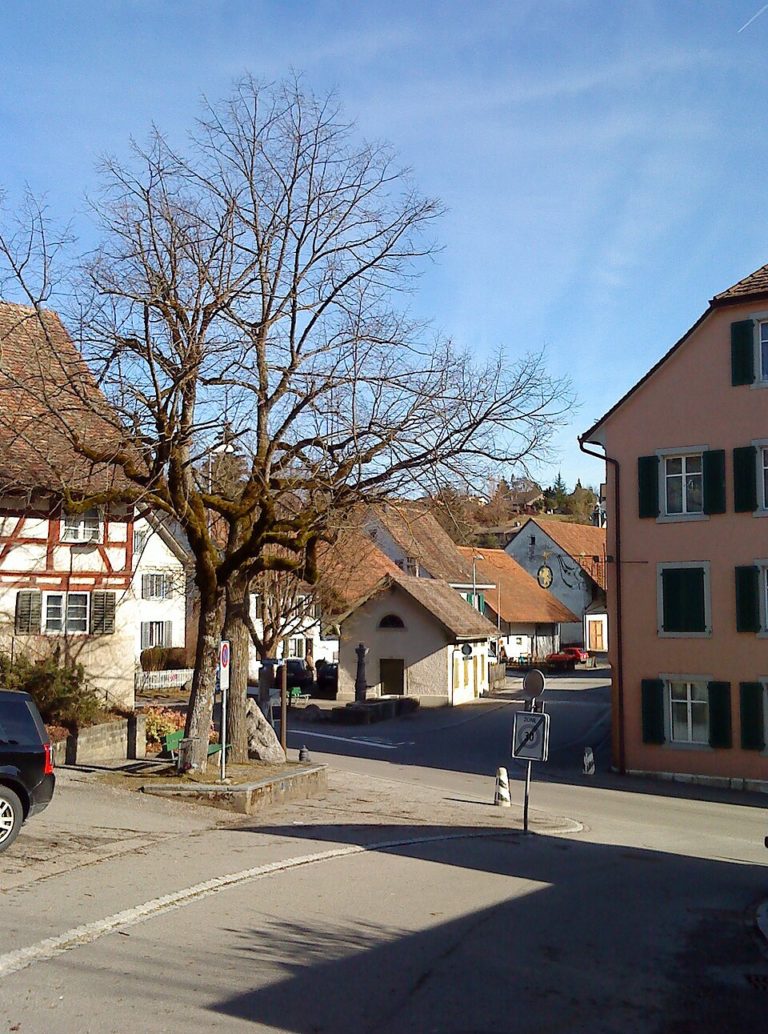 Herblingen in Schaffhausen (Kanton Schaffhausen)