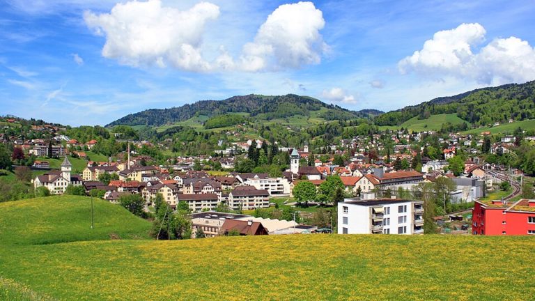 Wald in Wald (ZH) (Kanton Zürich)