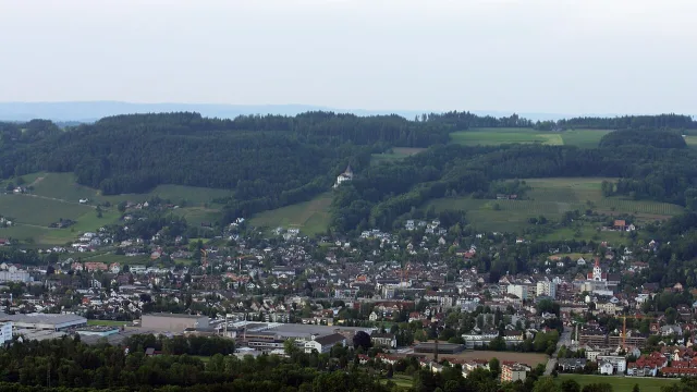 Umzug in Weinfelden – Bildmotiv: Ansicht von Weinfelden