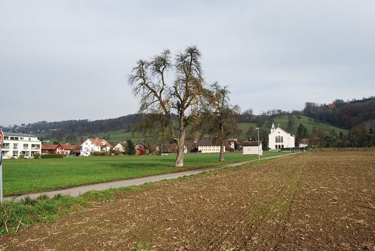 Zufikon in der Gemeinde Zufikon (Kanton Aargau)